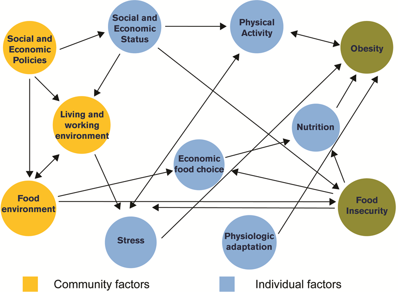 Figure 1, “Pathways that link obesity and food insecurity”